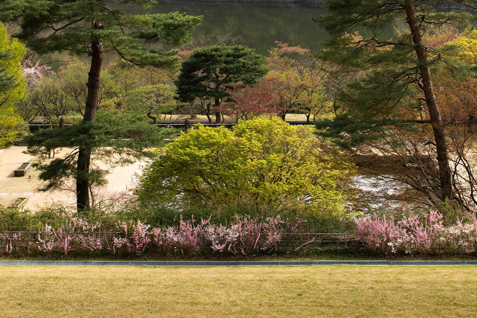 호암미술관 희원 풍경