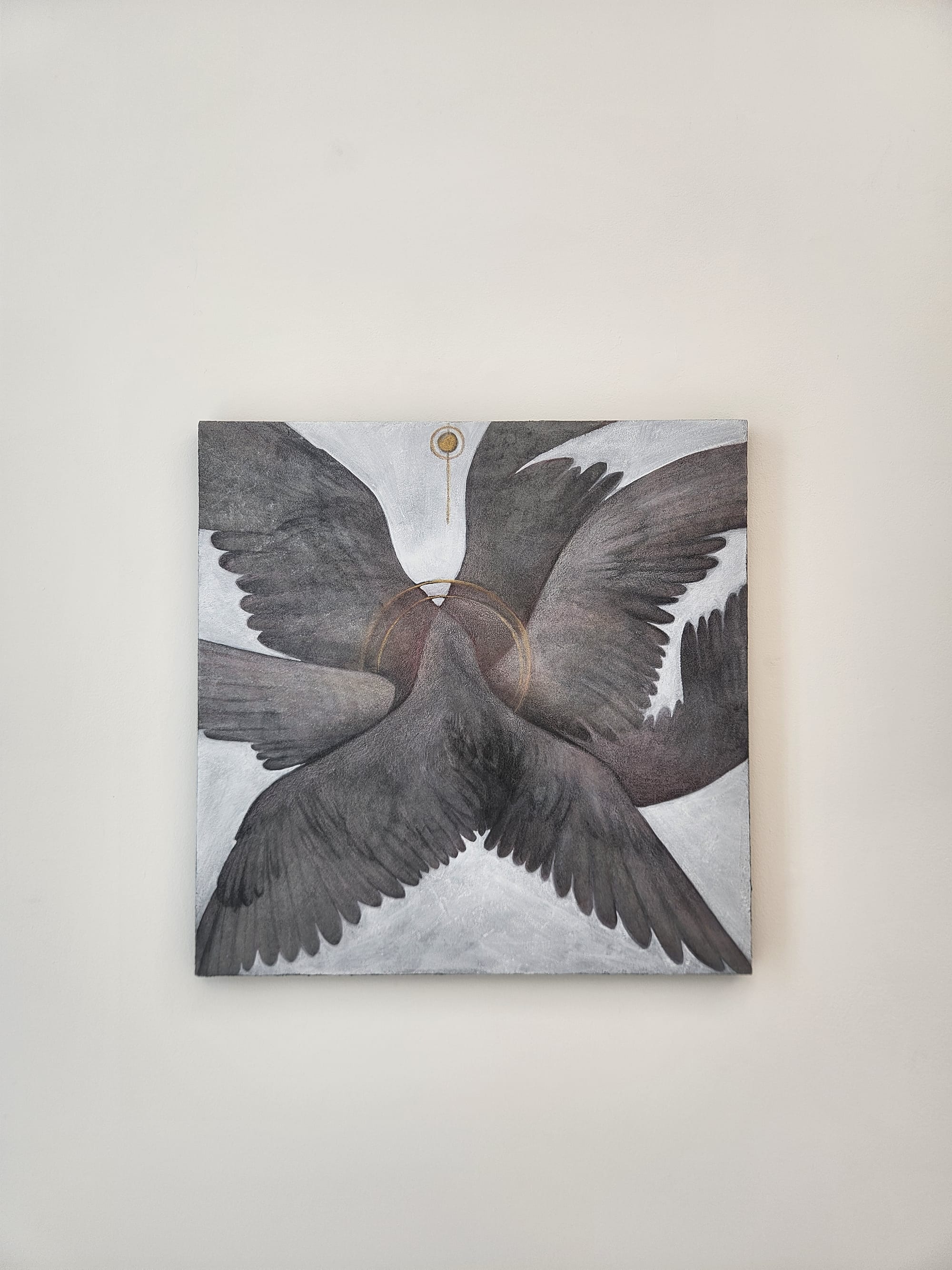 변화깃 ECLIPSE PLUMAGE