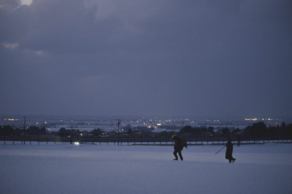 짙푸른 봄 속 나를 마주하고 싶을 때