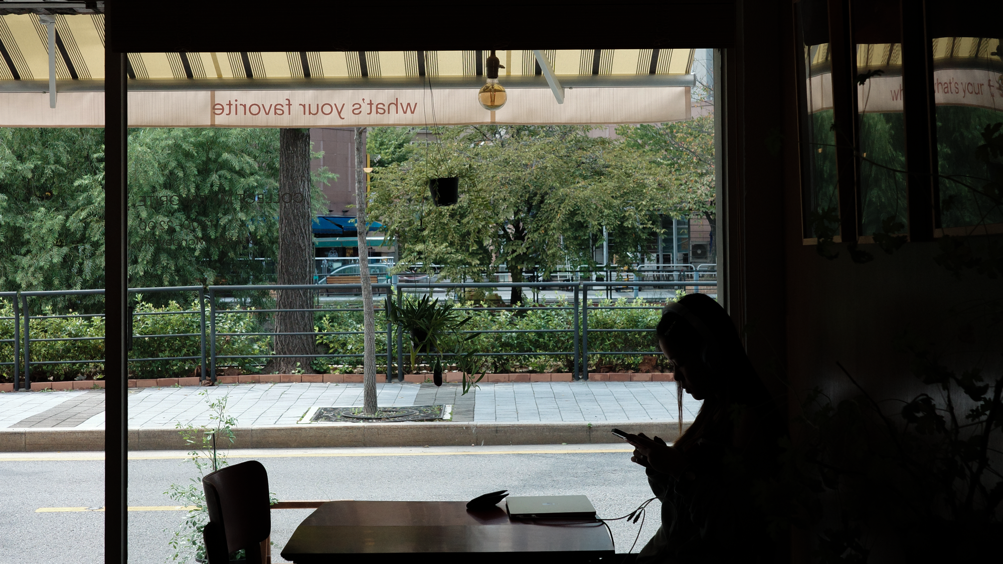 성북천의 여유를 닮은 핸드드립 카페 3곳