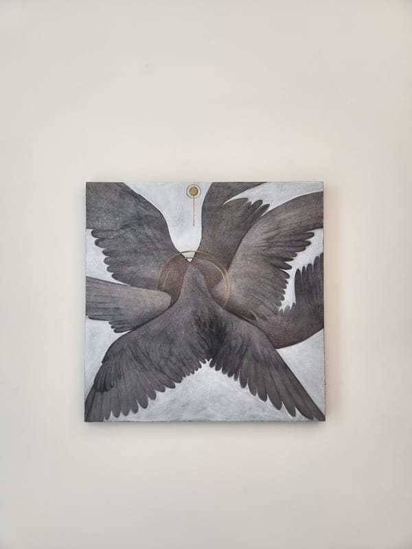 변화깃 ECLIPSE PLUMAGE