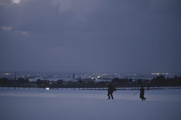 짙푸른 봄 속 나를 마주하고 싶을 때