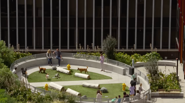 반려동물을 위한 공간 3곳