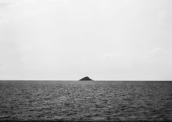 아름다움에 기댄 비평 서적 3선