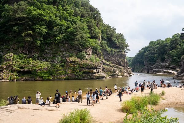 신입 락페러를 위한 페스티벌 입문서