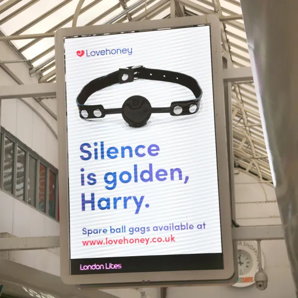 성인용품 브랜드, 말할 수 없는 광고들