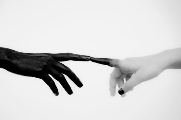 인간의 본질을  묻는 책 3권