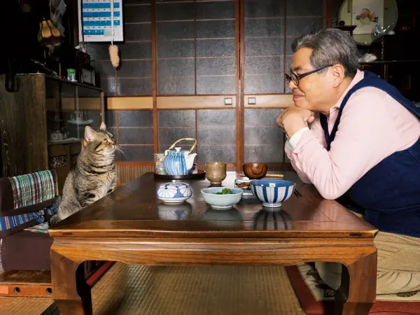 슬로우 블링크 본질을 마주하다